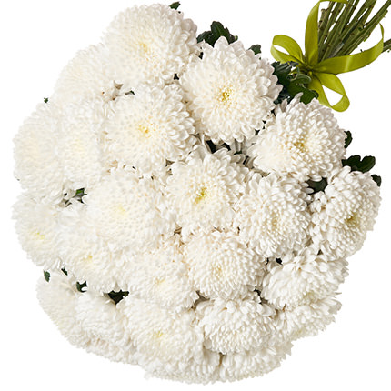 25 білих хризантем! - замовити з доставкою