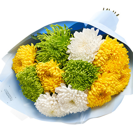Букет "11 разноцветных хризантем" - заказать с доставкой