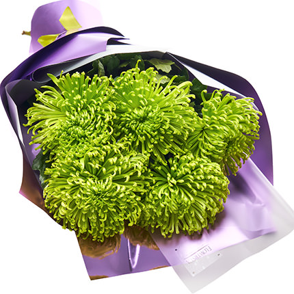 Букет "5 зеленых хризантем" - заказать с доставкой