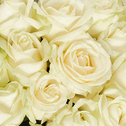 Букет "25 белых роз (Кения)" – заказать с доставкой