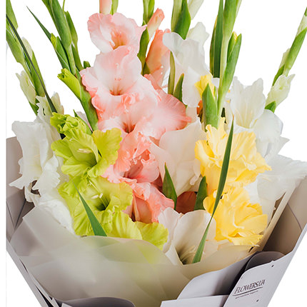 Bouquet "9 gentle gladioluses" - order with delivery