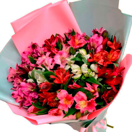 Bouquet "19 colorful alstroemerias" - delivery in Ukraine