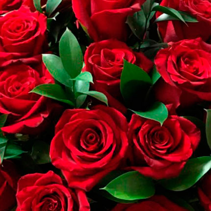 Кошик 35 червоних троянд – замовити з доставкою