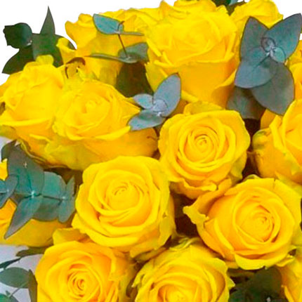 Квіти в коробці "21 жовта троянда" – замовити з доставкою