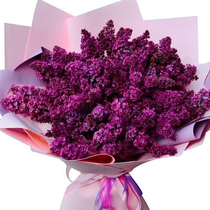 51 fragrant lilac branches - delivery in Ukraine