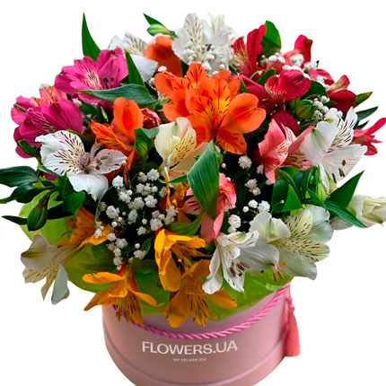 Flowers in a box "Bright fantasy" – delivery in Ukraine