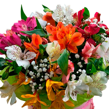 Flowers in a box "Bright fantasy" - order with delivery