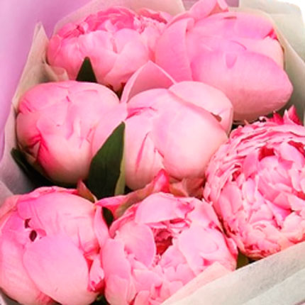 Bouquet "7 delicate peonies" – order with delivery