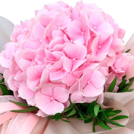Flowers in a box "Powder" – order with delivery