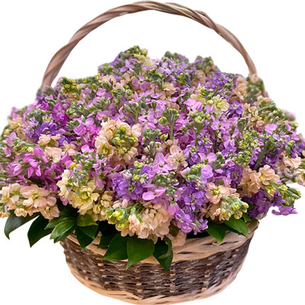 Basket "Fragrant Matthiola" - delivery in Ukraine