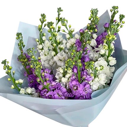 Bouquet "15 branches of matthiola" - delivery in Ukraine