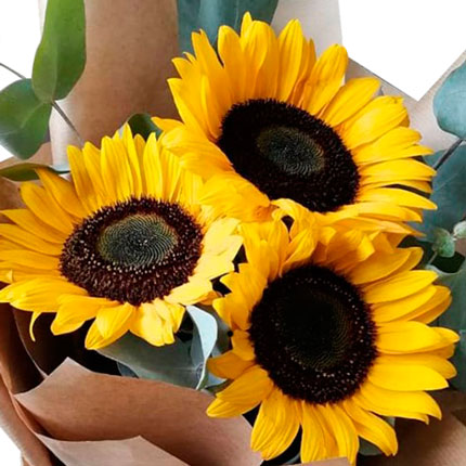 Bouquet "Sunny mood" - delivery in Ukraine