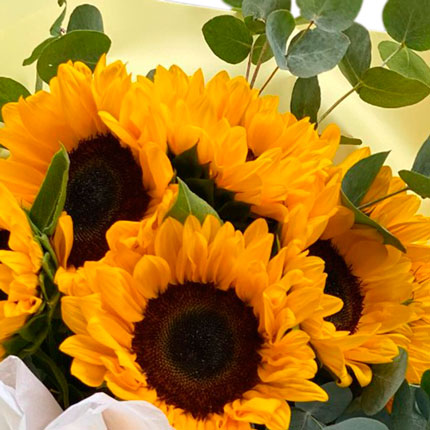 Bouquet "7 bright sunflowers" - order with delivery