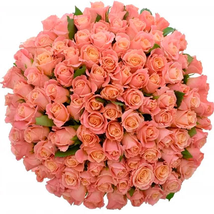 101 роза Мисс Пигги 80 см - доставка по Украине