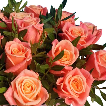 Цветы в коробке "21 роза Мисс Пигги" - заказать с доставкой