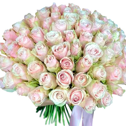 101 роза Pink Athena (Кения) - доставка по Украине