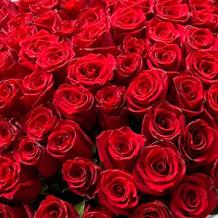101 троянда Red Torch (Кенія) - замовити з доставкою