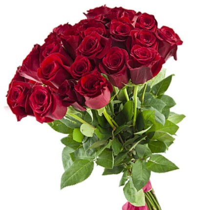 25 троянд Red Torch (Кенія) - доставка по Україні
