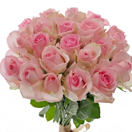 21 роза Avalanche Sorb (Кения) – доставка по Украине