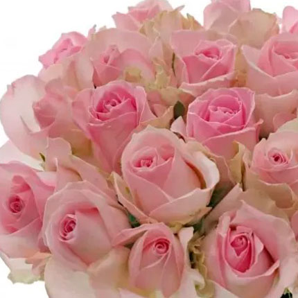 21 троянда Avalanche Sorb (Кенія) - замовити з доставкою
