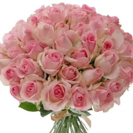 51 роза Avalanche Sorbet (Кения) - доставка по Украине