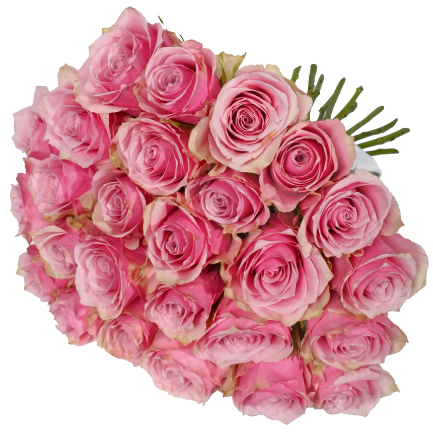 21 троянда Athena Royale (Кенія) – замовити з доставкою