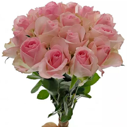 15 роз Avalanche Sorbet (Кения) - доставка по Украине