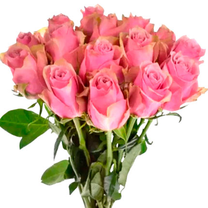 15 роз Athena Royale (Кения) - доставка по Украине