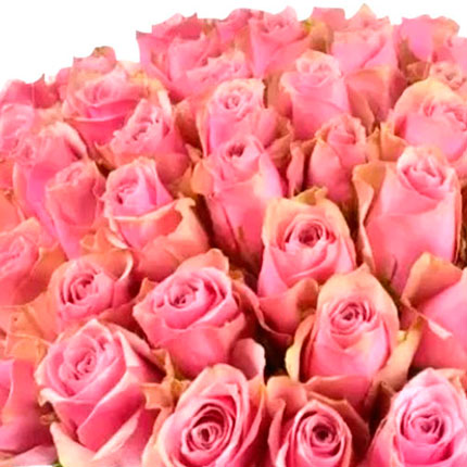 51 троянда Athena Royale (Кенія) - замовити з доставкою