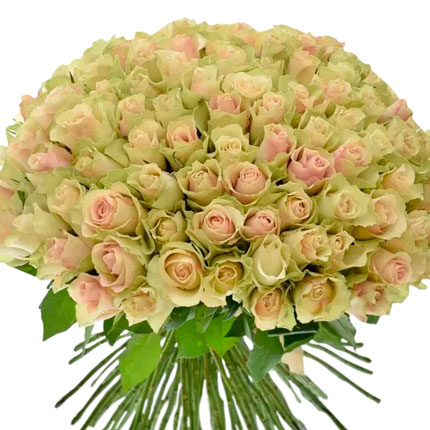 101 роза La Belle (Кения) - доставка по Украине