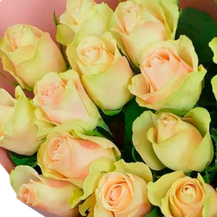19 троянд La Belle (Кенія) – замовити з доставкою