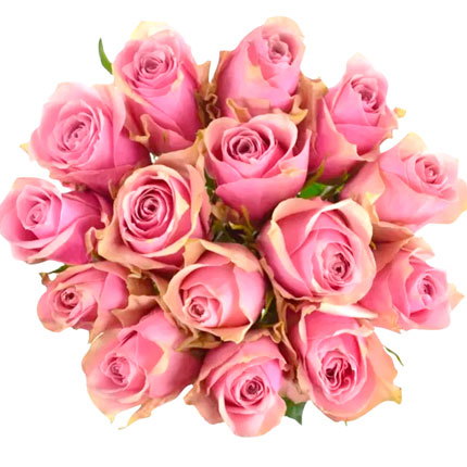 15 роз Athena Royale (Кения). - доставка по Украине