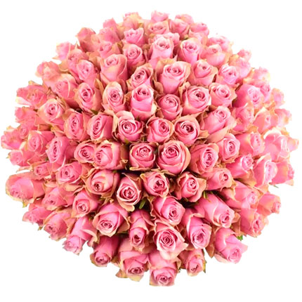 101 роза Athena Royale (Кения). - доставка по Украине