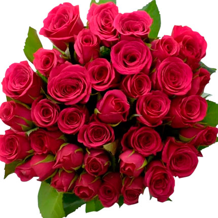 29 троянд кольору фуксії (Кенія) - доставка по Україні