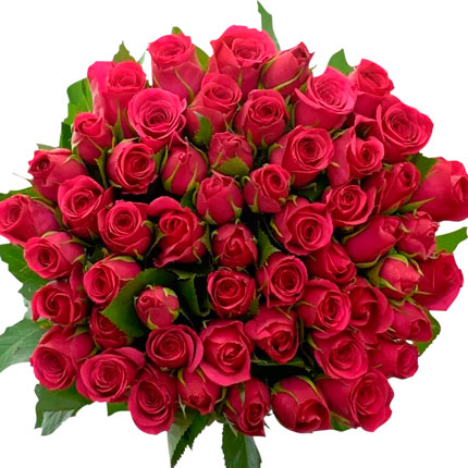 51 роза цвета фуксии (Кения) - доставка по Украине
