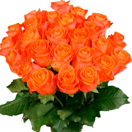21 оранжевая роза (Кения) - доставка по Украине