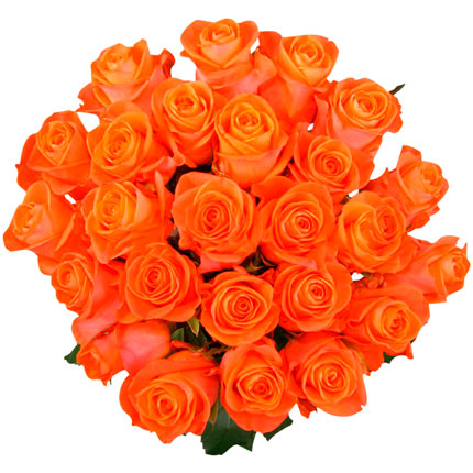 21 оранжевая роза (Кения) - заказать с доставкой