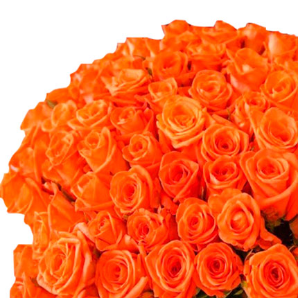 101 оранжевая роза (Кения) - доставка по Украине