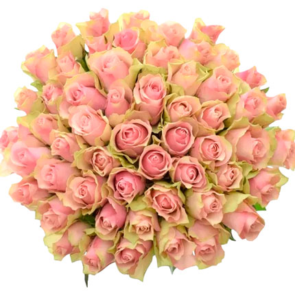 51 роза Belle Rose (Кения) – доставка по Украине