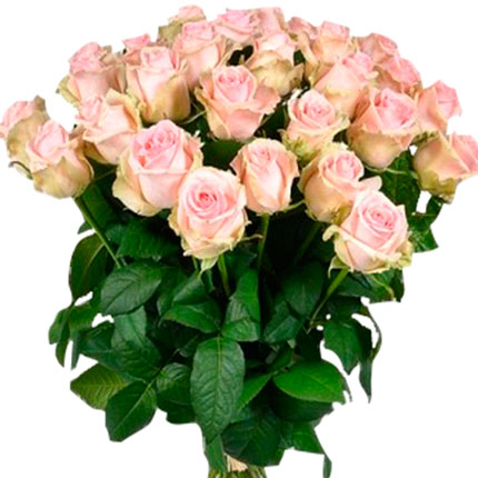 25 роз Belle Rose (Кения) - доставка по Украине