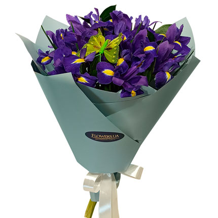 Bouquet "11 purple irises" - delivery in Ukraine