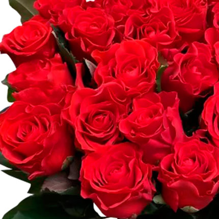 25 красных роз El Toro - заказать с доставкой