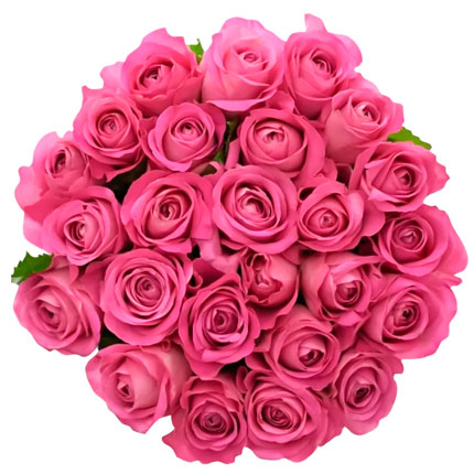 25 pink roses (Kenya) – delivery in Ukraine