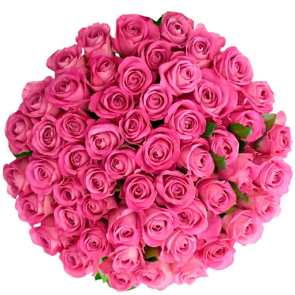 51 pink roses (Kenya) - delivery in Ukraine