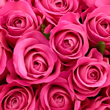 51 розовая роза (Кения) - заказать с доставкой