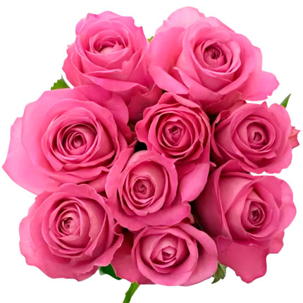 9 рожевих троянд (Кенія) - доставка по Україні