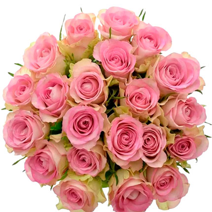 21 роза Lovely Jewel (Кения) - доставка по Украине