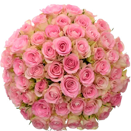51 роза Lowely Jewel (Кения) - доставка по Украине