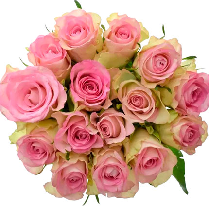 Flowers in a box "15 roses Lowely Jewel" - order with delivery