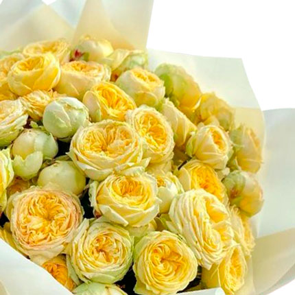 Bouquet "Sunny morning" - order with delivery